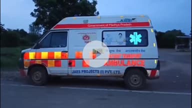 पवई: विद्यासागर गौ संवर्धन समिति परिसर, गौसदन पवई में हुआ वृक्षारोपण