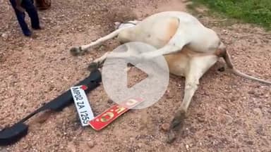 टीकमगढ़: सुधा सागर रोड पर DFO के वाहन से सड़क हादसा, एक की मौत, एक घायल, लोगों ने मार्ग किया बंद