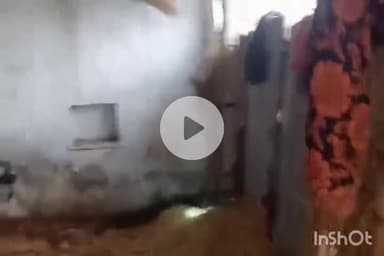 श्योपुर: रन्नौद गांव में फिर घुसा 6 फीट का मगरमच्छ, वन विभाग ने किया रेस्क्यू, नदी में सुरक्षित छोड़ा