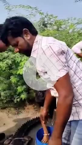 बंजारी की तलाई से 7 फिट लंबे मगरमच्छ का रेस्क्यू
-एक वर्ष से परेशान थे ग्रामीण, हयात खान ने चंबल नदी में सुरक्षित छोड़ा