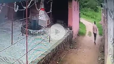 अमरोहा: अमरोहा नगर के शास्त्री नगर में चामुंडा मंदिर में चोरी, सीसीटीवी में कैद हुआ चोर