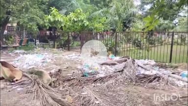 भीलवाड़ा: भीलवाड़ा कलेक्ट्रेट में गंदगी का अंबार, जिम्मेदार मौन, स्वच्छता अभियान को ठेंगा