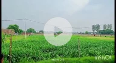 प्रतापगढ़: जरियारी गांव में जमीनी विवाद के चलते दो पक्षों में बवाल, कई राउंड फायरिंग, दो महिलाएं घायल