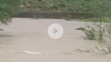 बीना: इंडस्ट्रीज एरिया के पास मिला अज्ञात व्यक्ति का शव, घटनास्थल पर पहुंची पुलिस