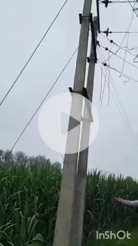 जानसठ: ककरौली के गाँव ढासरी के जंगल में चोरों का आतंक, किसान के ट्यूबवेल पर रखे विद्युत ट्रांसफार्मर का कीमती सामान चोरी