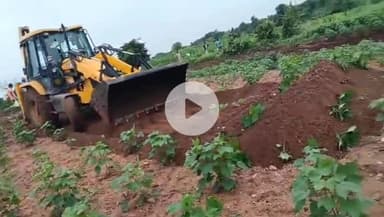 పెద్ద కొడప్​గల్​: కాఠేపల్లి తండా శివారులోని పంటలను తొలగించిన ఫారెస్ట్ అధికారులు