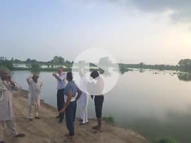 भिवानी जिले के सागवान गांव में निगाणा नहर की मोरी खोलने व भिवानी घघर ओवरफ्लो होने से गांव की 300 एकड़  जमीन में फसल खराब