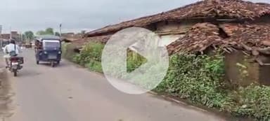 पांकी: पांकी में वन विभाग की चुप्पी, लोग प्रतिदिन लकड़ी काटकर बेच रहे हैं