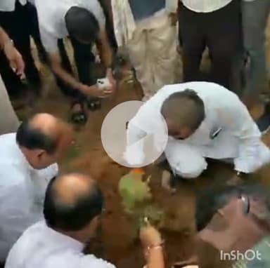 सरई: सरई क्षेत्र के ग्राम पुरैल में प्रभारी मंत्री श्रीमती सम्पतिया उइके जी ने किया वृक्षारोपण