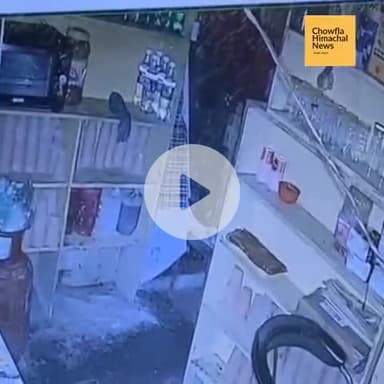 डलहौजी: रात के सन्नाटे में दुकान में घुसा भालू, CCTV फुटेज वायरल