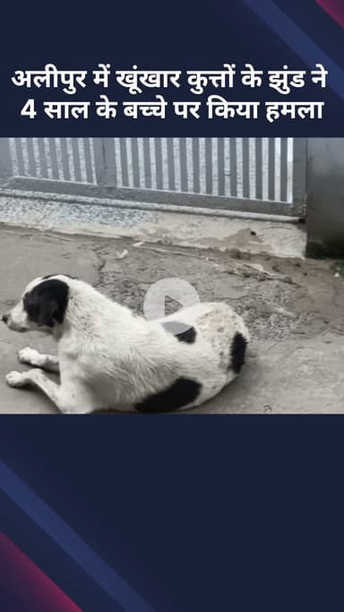 अलीपुर: अलीपुर में खूंखार कुत्तों के झुंड ने 4 साल के बच्चे पर किया हमला, चेहरे पर आई गंभीर चोटें