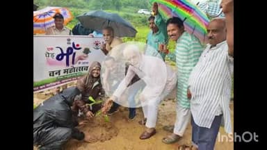 नरसिंहगढ़: हरियाली अमावस्या पर वन विभाग द्वारा 'एक पेड़ माँ के नाम' के तहत पौधारोपण किया गया