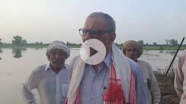 भिवानी के सागवान गांव में निगाणा नहर की मोरी खोलने व भिवानी घघर ड्रेन ओवर फ्लो से 300 एकड़ में फसल खराब हुई