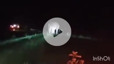 ब्यौहारी: ब्यौहारी के झिरिया टोला में जंगली हाथी का तांडव, कई घरों में तोड़-फोड़