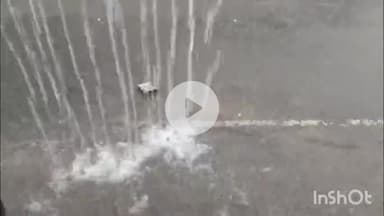 उतरौला: उतरौला में शुक्रवार को दोपहर बाद हुई सावन की पहली झमाझम बारिश ने क्षेत्रवासियों को भीषण गर्मी से राहत दी