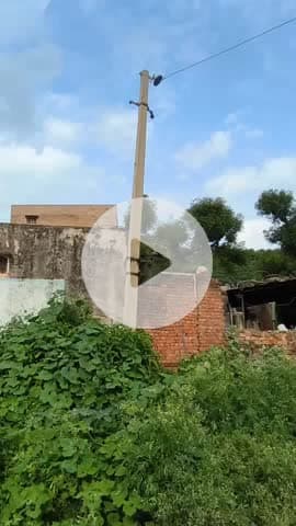 वैर: गांव हाथोड़ी में करंट से अजय की मौत का मामला, बिजली विभाग ने व्यवस्थाएं दुरुस्त की