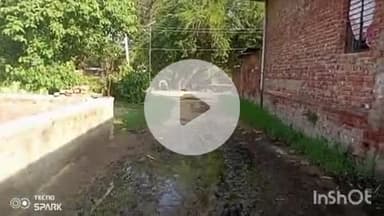 बलरामपुर: छिटौहनी में ग्रामवासियों ने टूटी नालियों से जल भरे कीचड़ की समस्या का प्रशासन से संज्ञान लेने की मांग की