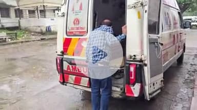 बैतूल: सोना घाटी जंगल में युवक को जहरीले सांप ने काटा