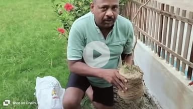 आज वीरांगना फूलन देवी की शहादत दिवस पर आजाद समाज पार्टी के जिला अध्यक्ष फौजी भारत भूषण सँखवार ने पेड़ लगाया