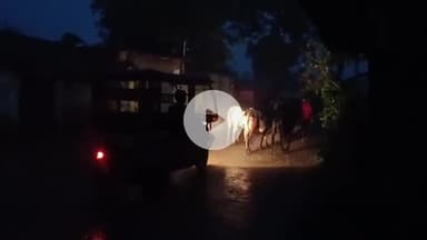 कहलगांव: कहलगांव में शाम को मूसलाधार बारिश से किसान खुश, गंगा किनारे के लोग भयभीत