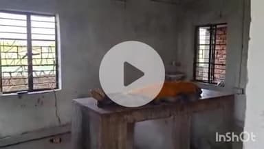 अरवल: ठाकुर बिगहा गांव में नवविवाहिता की संदिग्ध मौत, ससुराल पक्ष पर लगा हत्या का आरोप