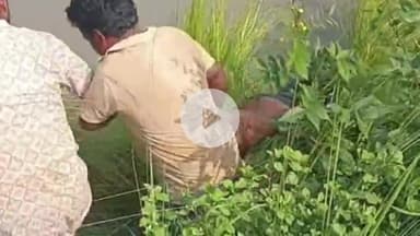 महाराजगंज: पत्नी से झगड़े के बाद युवक ने भिटौली उपनगर की बड़ी नहर में लगाई छलांग, भिटौली पुलिस ने किया बचाव