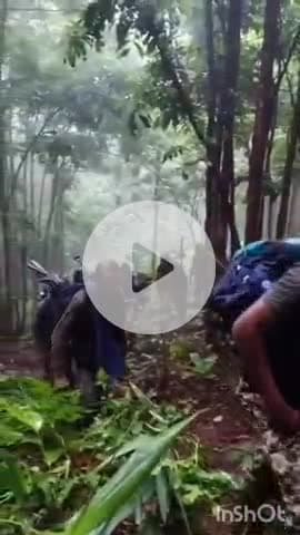 जगदलपुर: भीगती बारिश में जवान खोज रहे नक्सलियों के टॉप लीडर, बस्तर के माड़ इलाके का वीडियो हुआ वायरल