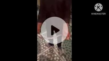 खुरई: लाल हाऊसिंग कॉलोनी में नगरपालिका इंजीनियर के घर से निकला 3 फीट लंबा सांप, स्नेक कैचर ने किया रेस्क्यू