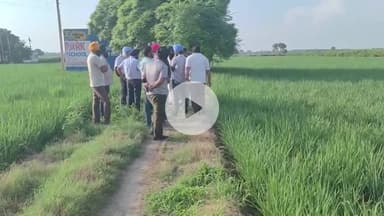 ਖੇਤੀਬਾੜੀ ਮੰਤਰੀ ਗੁਰਮੀਤ ਸਿੰਘ ਖੁਡੀਆਂ ਵੱਲੋਂ ਝੋਨੇ ਦੀ ਫਸਲ ਦੇ ਰੋਗ ਸੰਬੰਧੀ ਪਿੰਡ ਮੜੌਲੀ ਤੇ ਵੱਖ-ਵੱਖ ਪਿੰਡਾਂ ਦਾ ਕੀਤਾ ਦੌਰਾ