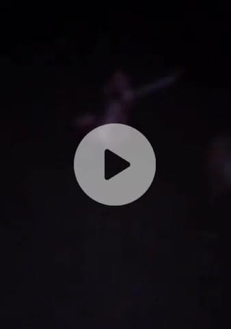 ग्वालियर गिर्द: ग्वालियर के लाला का बाजार चौराहा पर मिला नवजात शिशु का भ्रूण