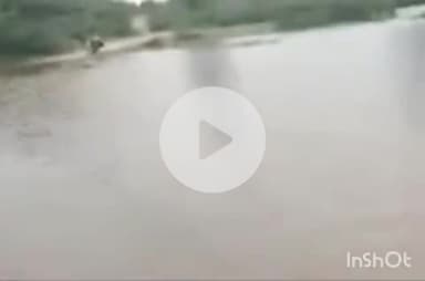 देसूरी: देसूरी में 725 एमएम बारिश, किसानों को सिंचाई के लिए मिलेगा पानी, अरावली पर्वतमाला में बांधों में पानी की आवक