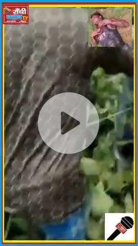 29 वर्षीय युवक की हाथी के हमले में मौत 🐘 | Koderma Jungle Incident | Ranchi Club TV Shorts

#ElephantAttack #Koderma