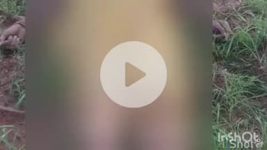 ब्यौहारी: ब्यौहारी के मऊ गांव में आकाशीय बिजली गिरने से 65 वर्षीय वृद्ध महिला की मौत