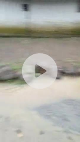 Gram Barai Tehsil Multai me Barish ka pani ghar  me aa raha hai panchayat dwara 3 salo se koi karya wahi nahi ki ja rahi