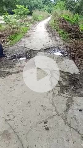 रमजानी टोला वार्ड नंबर 12 सुखासन पंचायत में रोड का स्थिति देखें क्या है #public#India#Bihar#Madhepura#manishbihari#2025