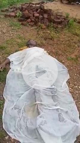 पांकी: पांकी के सगा लींम में वज्रपात से पंचायत करि वा पथ र में खेत में काम कर रहे मजदूर की मौत