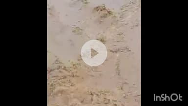 सिरोंज: भारी बारिश से तहसील क्षेत्र में नदी-नाले उफान पर, घरों में घुसा पानी