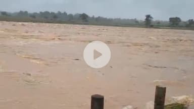 खूंटी: तपकरा और रनिया के बीच कारो नदी का जलस्तर बढ़ा, पुलिया के ऊपर से बहने लगा पानी