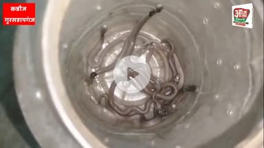 कन्नौज में नागों का तांडव! घर से निकले 11 नाग, मचा हंगामा सांपों के डर के वजह से घर किया खाली