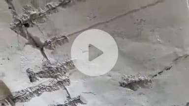 लाडपुरा: शिक्षा मंत्री के विधानसभा क्षेत्र के स्कूल की छत टपकती मिली, बच्चे डर के साये में पढ़ाई करने को मजबूर