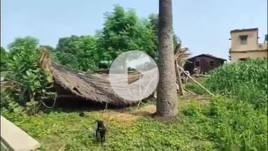 बाढ़: बाढ़ के नवादा में बारिश से बथान ढहा, 4 गायें घायल, एक की मौत