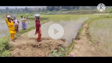 खूंटी: लगभग 300 की आबादी वाला अरगोड़ी बुकाटोली गांव आज भी पी रहा डाड़ी का पानी  #jansamasya