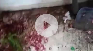 జడ్చర్ల: జడ్చర్ల మున్సిపల్ పరిధిలోని  అల్ఫా హోటల్లో పరిశుభ్రత పాటించనందుకు సానిటరీ ఇన్స్పెక్టర్ నరేశ్ రూ.5,000 జరిమానా