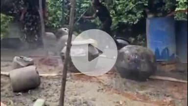 कोडरमा: तिलैया थाना क्षेत्र में अवैध भट्ठियां और 78 ड्रम जावा महुआ नष्ट