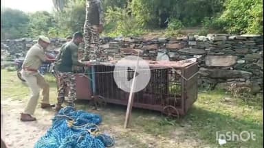 राजसमंद: राजसमंद के सुन्दरचा गांव में पैंथर का रेस्क्यू, वन विभाग की तत्परता से कैद हुआ पैंथर