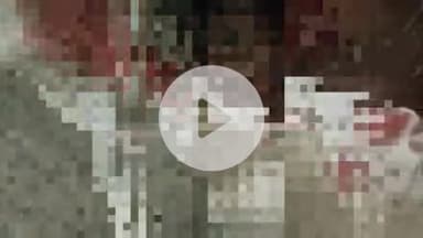 तुलसीपुर: गैसड़ी कस्बे में देर रात बाइक सवार युवक की छुट्टा जानवर से हुई जोरदार टक्कर, बाइक सवार युवक और जानवर की हुई मौत