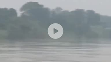 बासोदा: बासौदा: बेतवा नदी में डूबी महिला, शंकर भगवान का विसर्जन करने गई थी