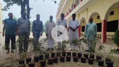 कादीपुर: सरस्वती विद्या मंदिर इंटर कॉलेज झारखंड कादीपुर में 27 तुलसी के पौधों का किया गया रोपण, कार्यक्रम का हुआ आयोजन