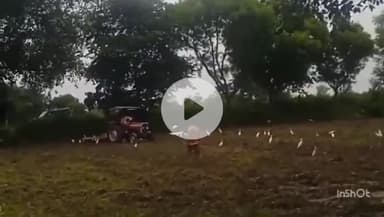 छिबरामऊ: अदमापुर में जमीनी विवाद के चलते दो पक्षों में हुई मारपीट का वीडियो सोशल मीडिया पर वायरल