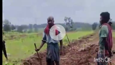 जगदलपुर: चचालगूर गाँव में वन कर्मचारी पर जानलेवा हमले के विरोध में वन कर्मचारियों ने खोला मोर्चा, प्रशासन से कार्रवाई की मांग